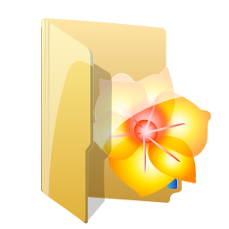 YellowIllustratorFolder