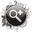 zoom_in_magnifier