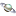 konquest