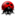 ladybug_16