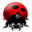ladybug_32
