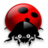 ladybug_48