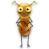 ant_72