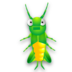 cricket_72