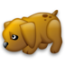 dog_72