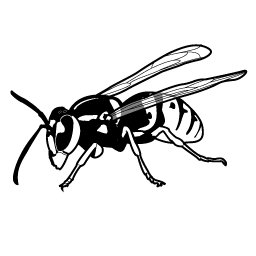 hornet.mitten.2