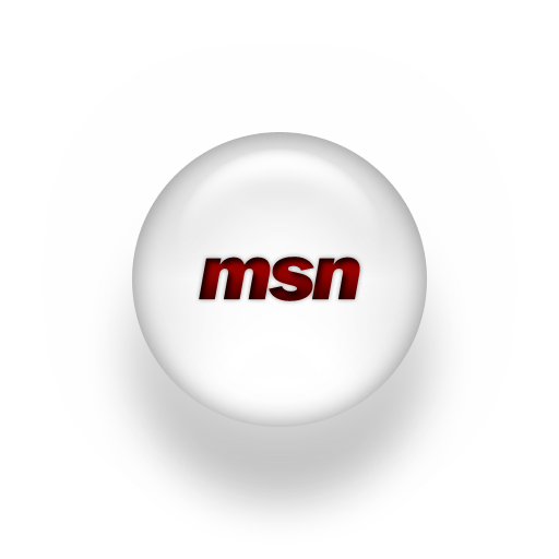 msn-logo-webtreatsetc