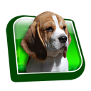dooffy_ikony_MYSLIVCI_09_lovecky_pes