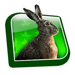 dooffy_ikony_MYSLIVCI_09_zajic