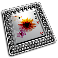 Illustrator