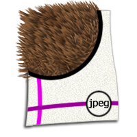 JPEG