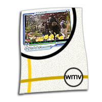WMV