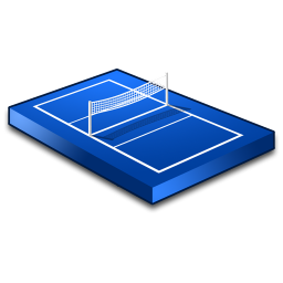 volleyball