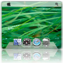 desktop