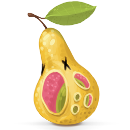 Pear