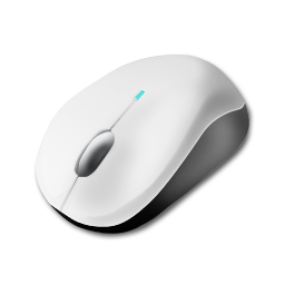 mouse