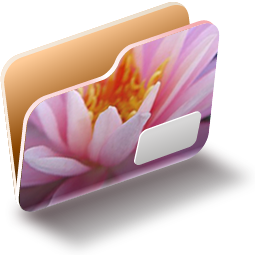 PinkWaterLilyFolder