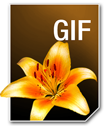 GIF_256_png