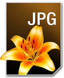 JPG_256_png