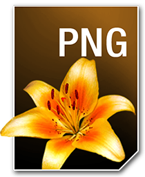 PNG_256_png