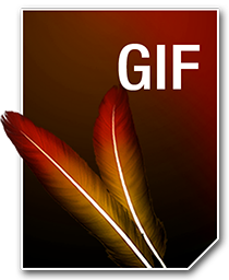 GIF_256_png