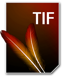 TIF_256_png