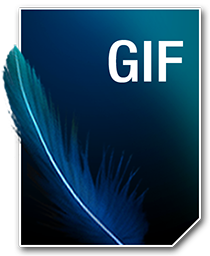GIF_256_png
