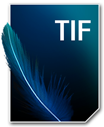 TIF_256_png