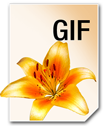 GIF_256_png