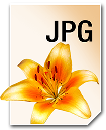 JPG_256_png