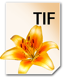 TIF_256_png