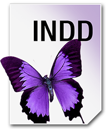 INDD_256_png