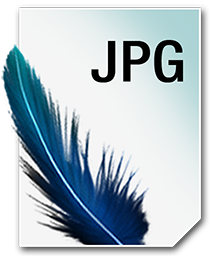 JPG_256_png