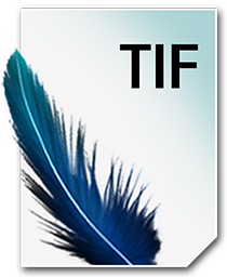 TIF_256_png