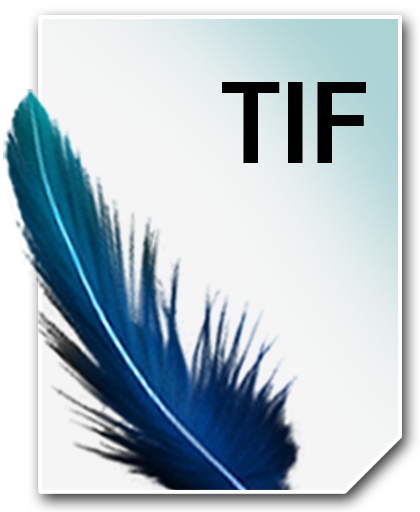 TIF_512_png