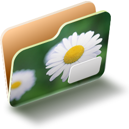 WSTaylorDaisyFolderIcon